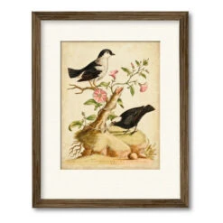 Natural Habitat I 20" X 24" Framed And Matted Art