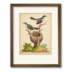 Natural Habitat II 20" X 24" Framed And Matted Art