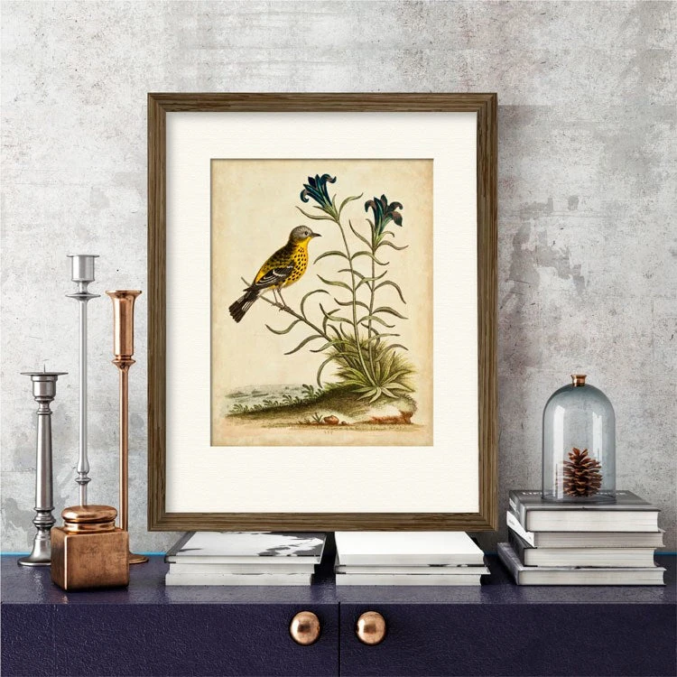 Natural Habitat III 16" X 20" Framed And Matted Art 4 Natural Habitat III 16" X 20" Framed And Matted Art - Image 2