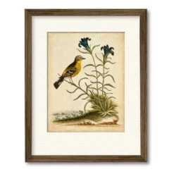 Natural Habitat III 16" X 20" Framed And Matted Art