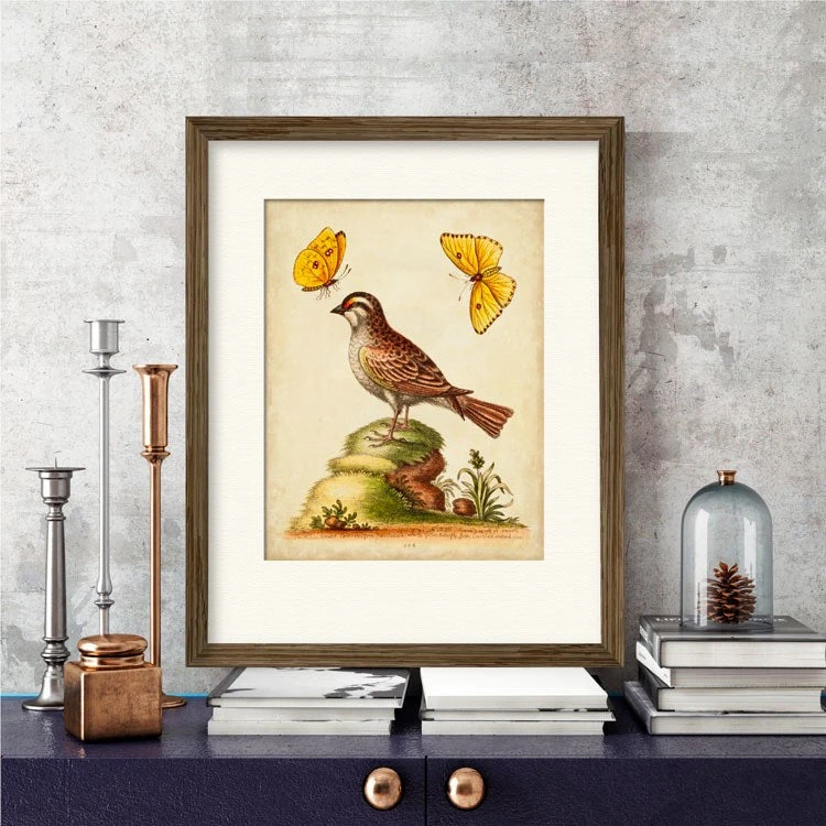 Natural Habitat IV 16" X 20" Framed And Matted Art 5 Natural Habitat IV 16" X 20" Framed And Matted Art - Image 3