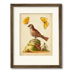 Natural Habitat IV 16" X 20" Framed And Matted Art