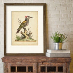 Edwards Woodpecker 16" X 20" Framed And Matted Art 7 Edwards Woodpecker 16" X 20" Framed And Matted Art -Courtside Market 795391 2