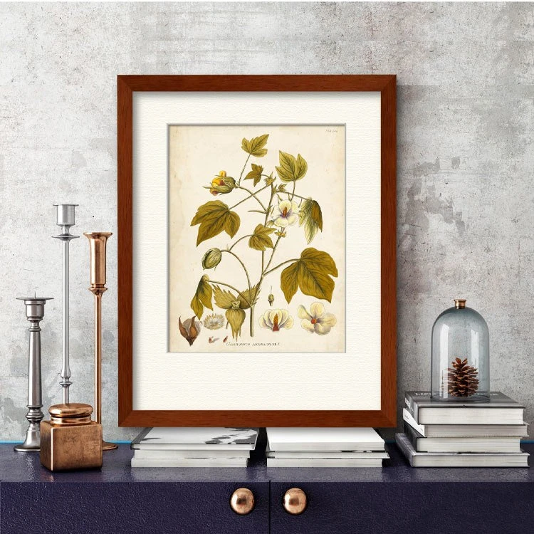 Elegant Botanical I 20" X 24" Framed And Matted Art 5 Elegant Botanical I 20" X 24" Framed And Matted Art - Image 3