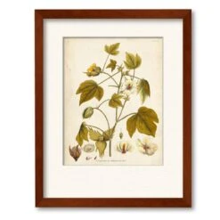 Elegant Botanical I 20" X 24" Framed And Matted Art