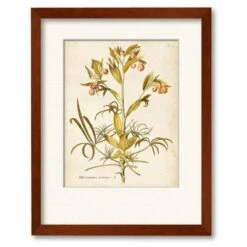 Elegant Botanical II 16" X 20" Framed And Matted Art