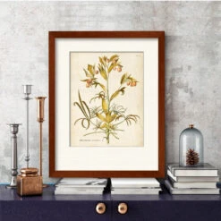 Elegant Botanical II 20" X 24" Framed And Matted Art -Courtside Market 795398 2