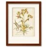 Elegant Botanical II 20" X 24" Framed And Matted Art 1 Elegant Botanical II 20" X 24" Framed And Matted Art -Courtside Market 795398 e770973d 1d12 491d a8c2 7b2a70ad3af8