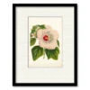 Striking Hibiscus 16" X 20" Framed And Matted Art 1 Striking Hibiscus 16" X 20" Framed And Matted Art -Courtside Market 795401