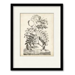 Scenic Botanical I 16" X 20" Framed And Matted Art