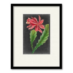 Dramatic Tropicals I 16" X 20" Framed And Matted Art