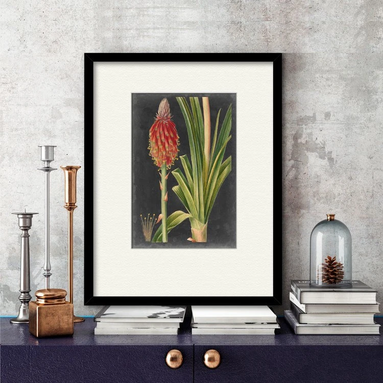 Dramatic Tropicals IV 16" X 20" Framed And Matted Art 4 Dramatic Tropicals IV 16" X 20" Framed And Matted Art - Image 2