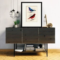 D'Orbigny Birds II 16" X 20" Framed And Matted Art 9 D'Orbigny Birds II 16" X 20" Framed And Matted Art -Courtside Market 795421 3