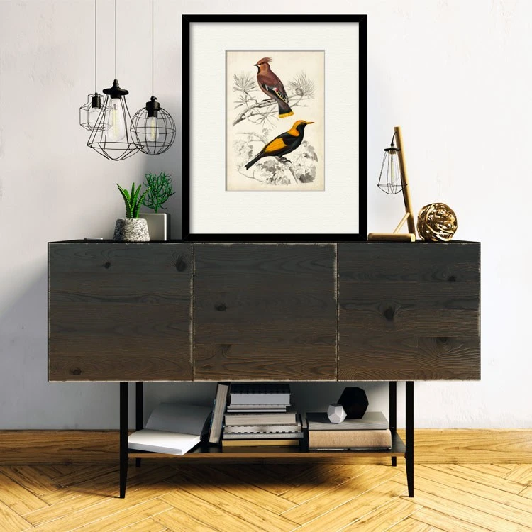 D'Orbigny Birds V 16" X 20" Framed And Matted Art 4 D'Orbigny Birds V 16" X 20" Framed And Matted Art - Image 2