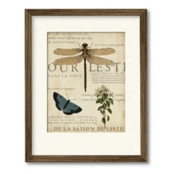 Specimen Of Natural Beauty II 16" X 20" Framed And Matted Art