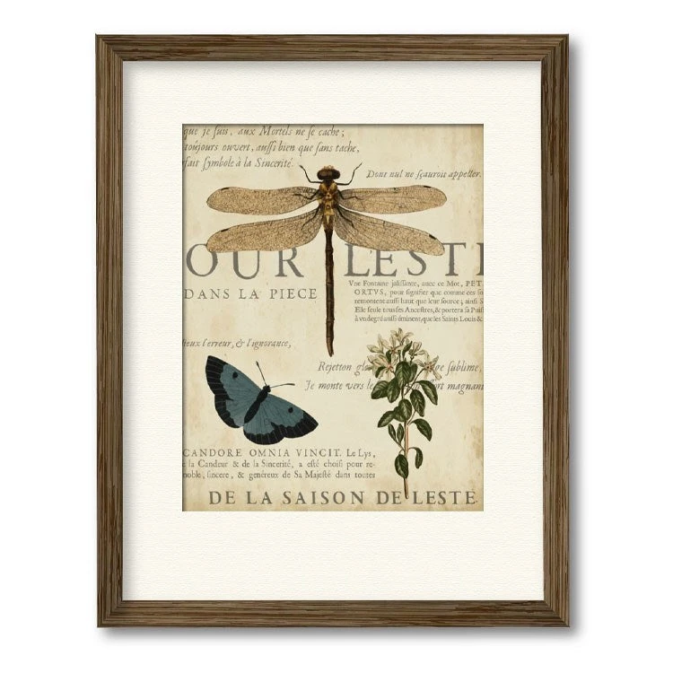 Specimen Of Natural Beauty II 16" X 20" Framed And Matted Art 3 Specimen Of Natural Beauty II 16" X 20" Framed And Matted Art