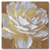 Golden Flower II 30" X 30" Gallery-Wrapped Canvas Wall Art 2 Golden Flower II 30" X 30" Gallery-Wrapped Canvas Wall Art -Courtside Market 795828