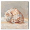 Impressionist Shell Study II 30" X 30" Gallery-Wrapped Canvas Wall Art 1 Impressionist Shell Study II 30" X 30" Gallery-Wrapped Canvas Wall Art -Courtside Market 796357