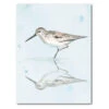Sandpiper Reflections II 16" X 20" Gallery-Wrapped Canvas Wall Art 1 Sandpiper Reflections II 16" X 20" Gallery-Wrapped Canvas Wall Art -Courtside Market 796361 89609d68 e38c 4555 8b3b f8c6ef3311c8