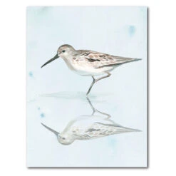Sandpiper Reflections II 20" X 24" Gallery-Wrapped Canvas Wall Art