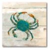 Wake Up Crabby I 30" X 30" Gallery-Wrapped Canvas Wall Art 1 Wake Up Crabby I 30" X 30" Gallery-Wrapped Canvas Wall Art -Courtside Market 796366