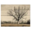 Earth & Sky 12" X 16" Wood Pallet Wall Art 1 Earth & Sky 12" X 16" Wood Pallet Wall Art -Courtside Market 796572