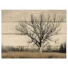 Earth & Sky 16" X 20" Wood Pallet Wall Art 2 Earth & Sky 16" X 20" Wood Pallet Wall Art -Courtside Market 796573