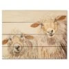 Ba Ba White Sheep 12" X 16" Wood Pallet Wall Art -Courtside Market 796637