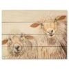 Ba Ba White Sheep 16" X 20" Wood Pallet Wall Art