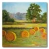 Hay Bales In The Summer I 30" X 30" Gallery-Wrapped Canvas Wall Art -Courtside Market 797354 f3da6a75 79c1 4840 8932 2266597739f8